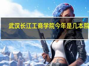武汉长江工商学院今年是几本院校