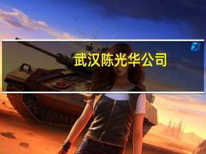 武汉陈光华公司（武汉陈光华）