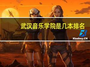 武汉音乐学院是几本排名
