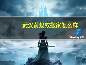 武汉黄蚂蚁搬家怎么样