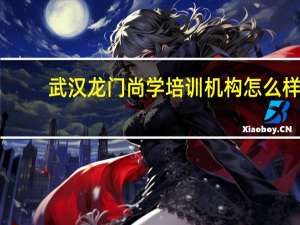 武汉龙门尚学培训机构怎么样