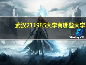 武汉211985大学有哪些大学