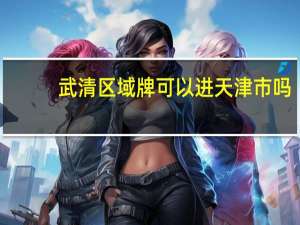 武清区域牌可以进天津市吗