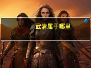 武清属于哪里
