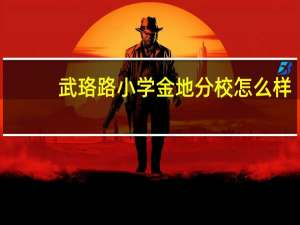 武珞路小学金地分校怎么样