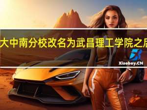 武科大中南分校 改名为武昌理工学院之后要升二本