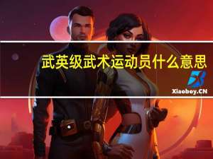 武英级武术运动员什么意思