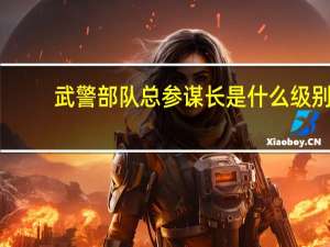 武警部队总参谋长是什么级别（总参谋长是什么级别）