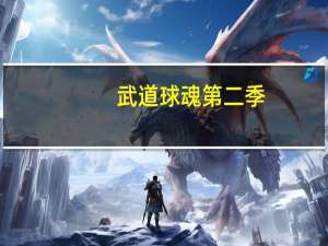 武道球魂第二季（武道球魂）