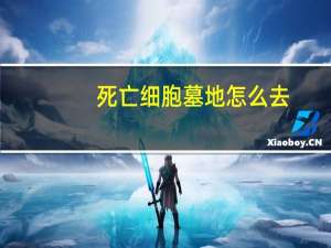 死亡细胞墓地怎么去