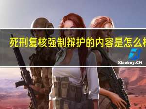 死刑复核强制辩护的内容是怎么样的