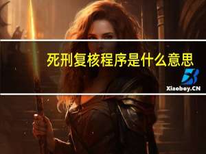 死刑复核程序是什么意思