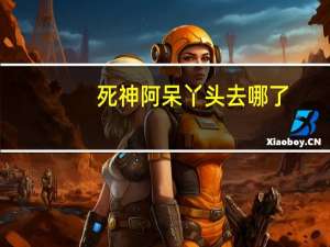死神阿呆丫头去哪了