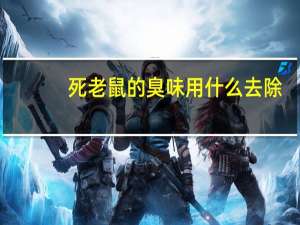 死老鼠的臭味用什么去除