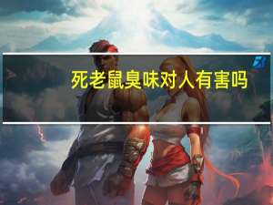 死老鼠臭味对人有害吗