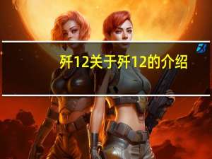 歼 12 关于歼 12的介绍