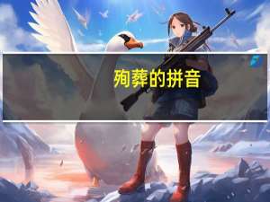 殉葬的拼音（殉）