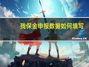 残保金申报数据如何填写（残保金申报）