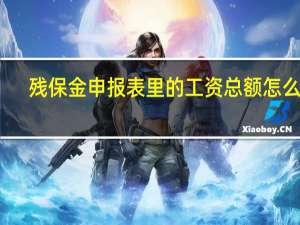 残保金申报表里的工资总额怎么填