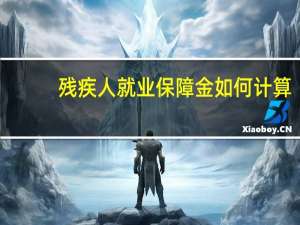 残疾人就业保障金如何计算