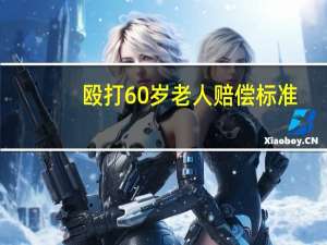 殴打60岁老人赔偿标准