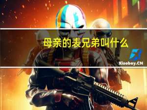 母亲的表兄弟叫什么