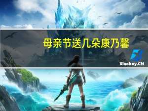 母亲节送几朵康乃馨