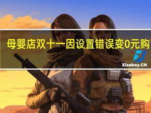 母婴店双十一因设置错误变0元购 商家：损失800多万 恳请买家退款
