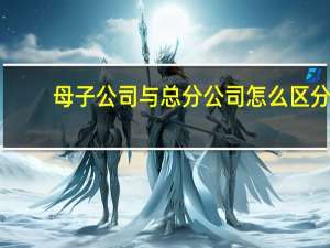 母子公司与总分公司怎么区分