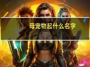 母宠物起什么名字