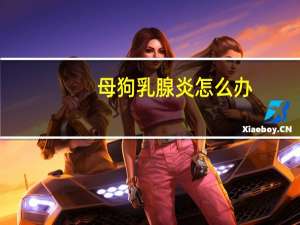 母狗乳腺炎怎么办