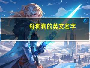 母狗狗的英文名字