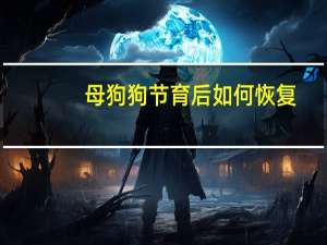 母狗狗节育后如何恢复