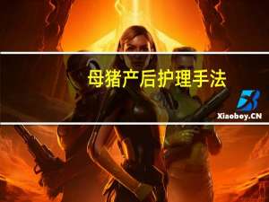 母猪产后护理手法