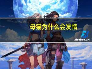 母猫为什么会发情