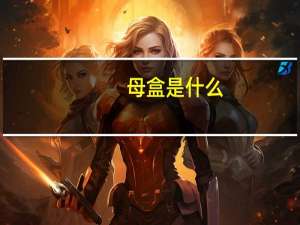母盒是什么（母盒简介）