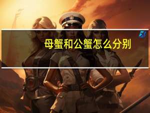 母蟹和公蟹怎么分别