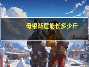 母银渐层能长多少斤