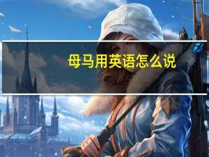母马用英语怎么说（母马）