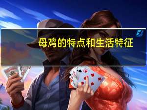 母鸡的特点和生活特征