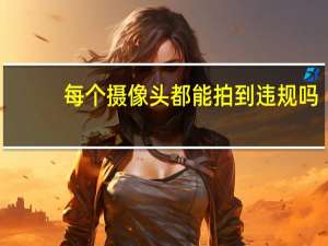 每个摄像头都能拍到违规吗