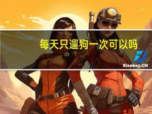 每天只遛狗一次可以吗