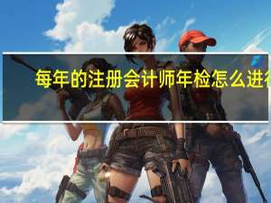 每年的注册会计师年检怎么进行