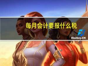 每月会计要报什么税