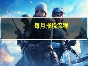 每月报税流程