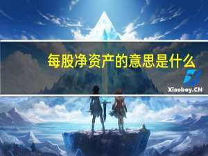 每股净资产的意思是什么