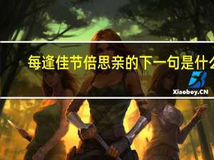 每逢佳节倍思亲的下一句是什么