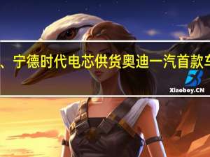 比亚迪、宁德时代电芯供货奥迪一汽 首款车型明年量产