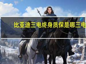 比亚迪三电终身质保是哪三电