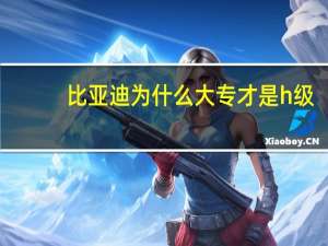 比亚迪为什么大专才是h级